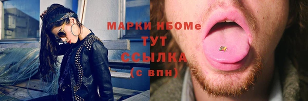 apvp Иннополис