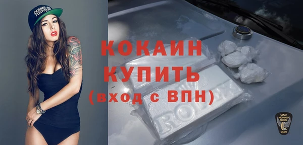 apvp Иннополис