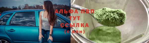 apvp Иннополис