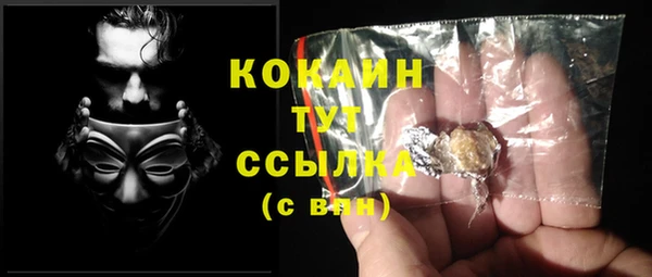 apvp Иннополис