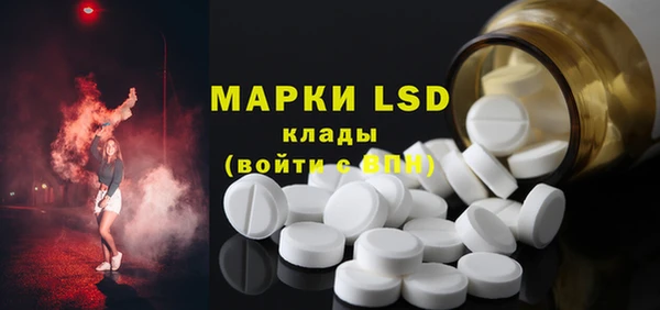 apvp Иннополис