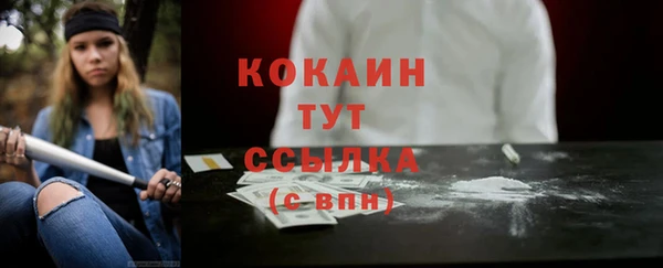 apvp Иннополис