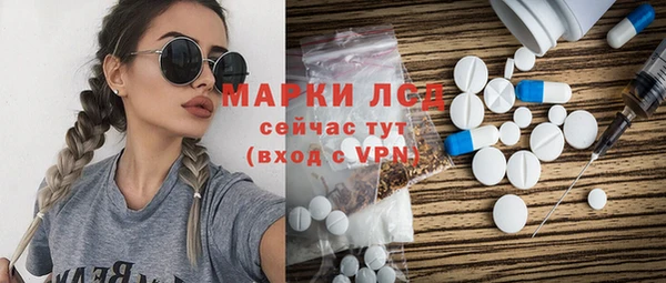 apvp Иннополис